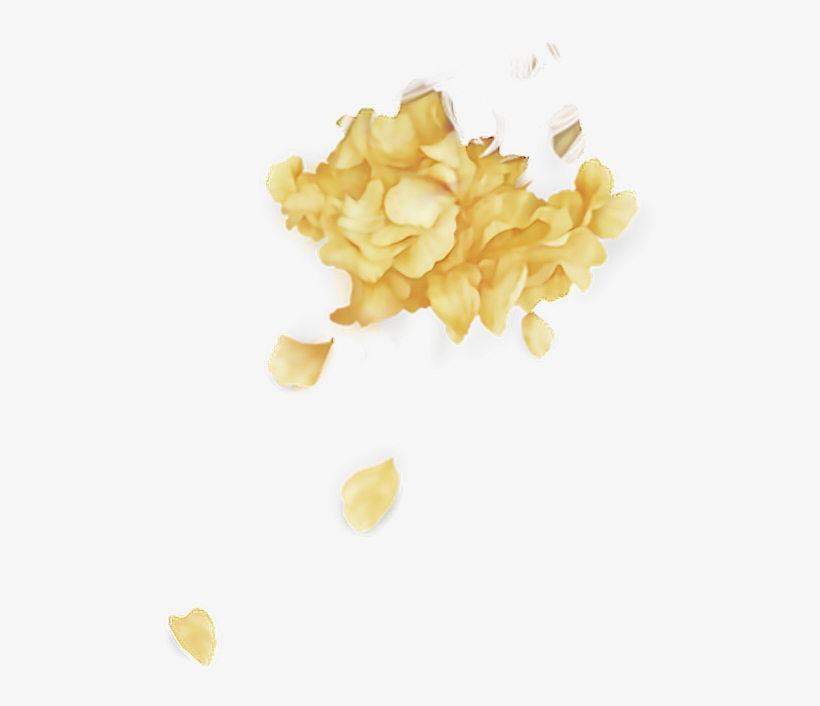 Report Abuse - Troye Sivan Petals Png, transparent png #2174652