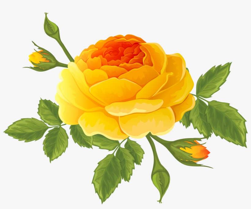 Orange Rose Png Download, transparent png #2174707