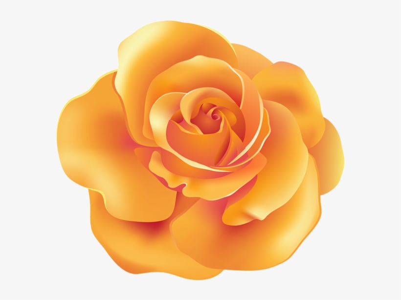 Rose Png Image With Transparent Background - Rose, transparent png #2174912