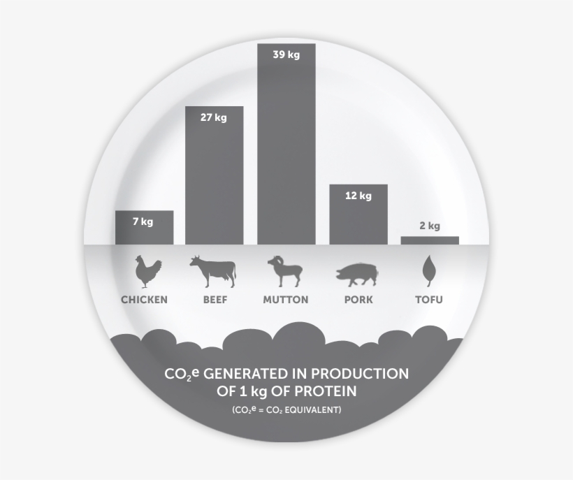 Co2 Meat Gates - Meat Consumption Environmental Impact, transparent png #2174962