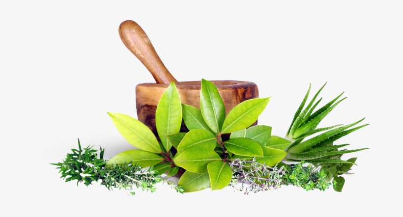 More Info - Easy Guide To Ayurveda: The Natural Way To Wholeness, transparent png #2175074