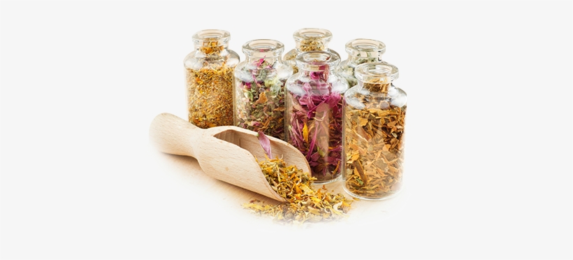 Abundance In Our Own Surroundings - Nature's Medicine: The Everyday Guide To Herbal Remedies, transparent png #2175095