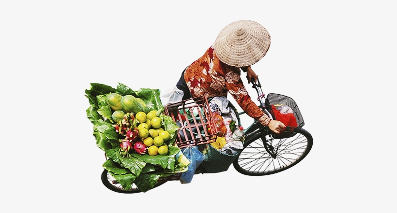 Asian Woman Walking Bike Full Of Groceries Aerial View - Miami, transparent png #2175151