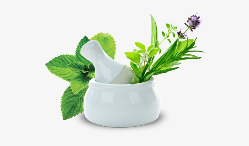 Ark Hara Bhara - Herbal Remedies: The Guide To Healing Naturally, transparent png #2175339