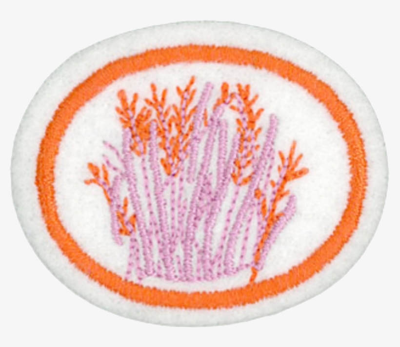 Herbs Honor - Herb, transparent png #2175435