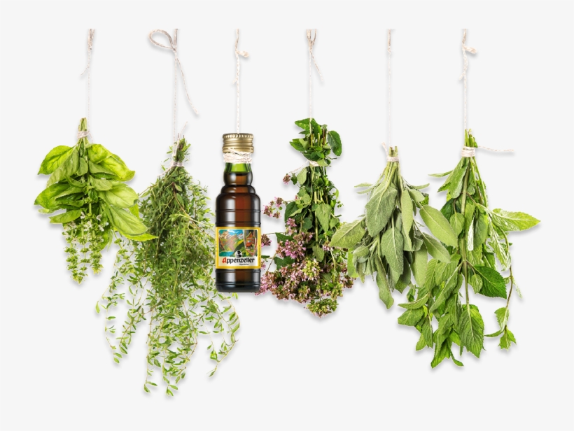 Bild1 Bild2 Bild-mobile - Essential Oils 10ml Pure & Natural Aromatherapy, transparent png #2175752