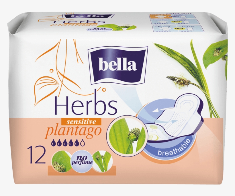 Bella Herbs Plantago - Bella Herbs, transparent png #2175783