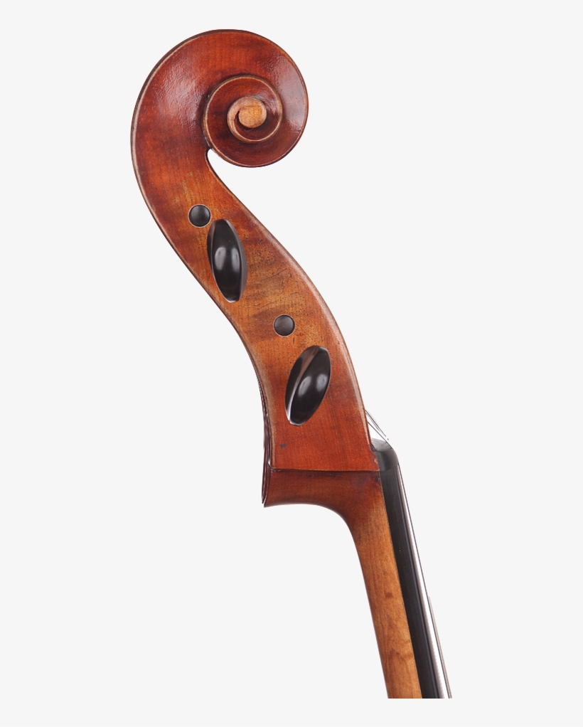 Cello, transparent png #2176798