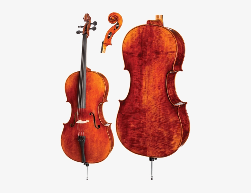Wvs "artist" C30 Cello - Cello, transparent png #2176907