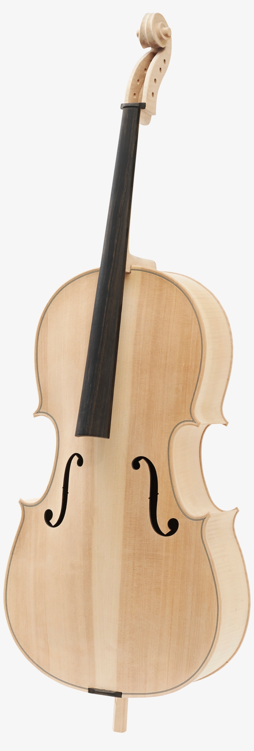 Viola, transparent png #2176934