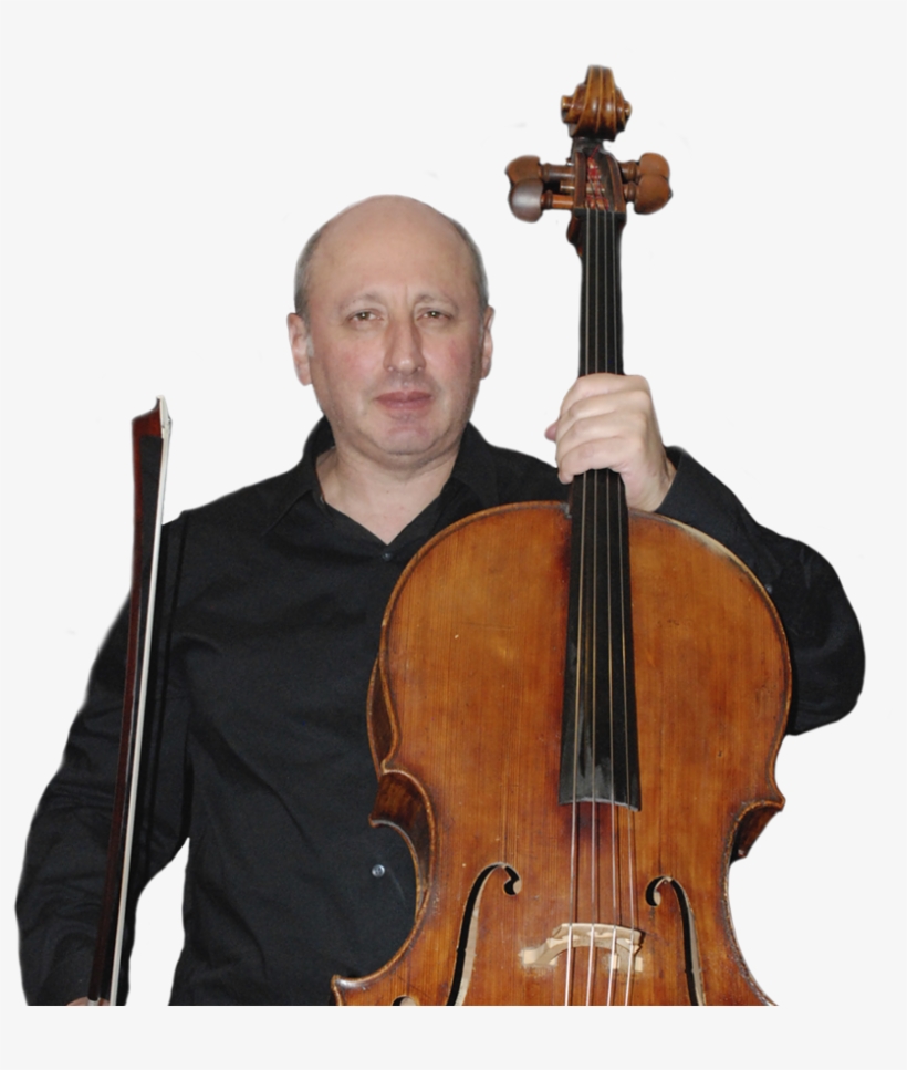 Mishaquint Cellist - Violone, transparent png #2177111