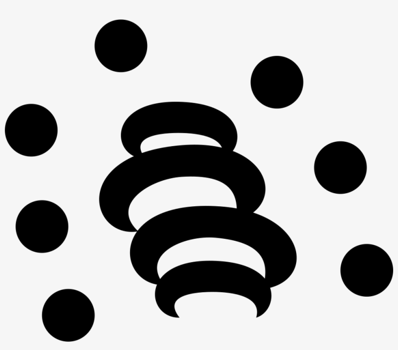 Png File - Circle, transparent png #2177190