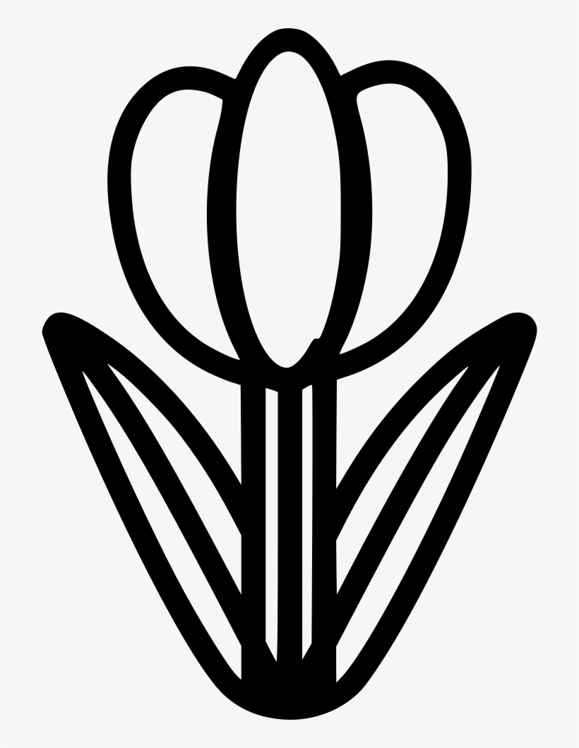 Png File - Portable Network Graphics, transparent png #2178568