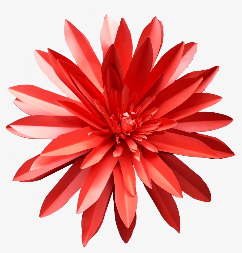 Astra Red 1 Png - Scaevola Aemula, transparent png #2178937
