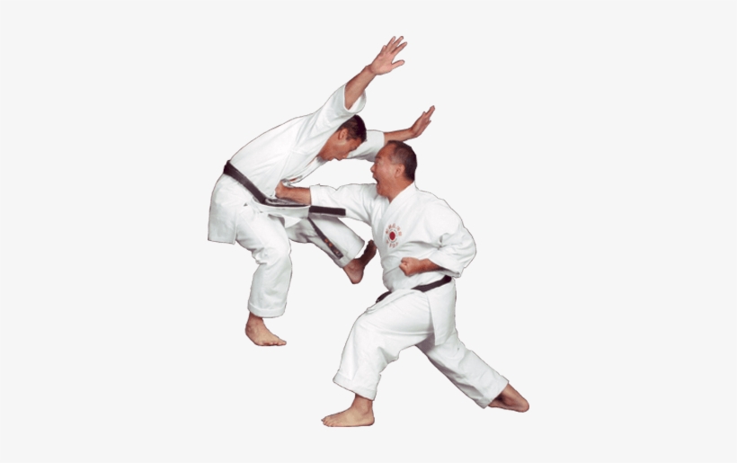 Download - Shotokan Karate, transparent png #2180352