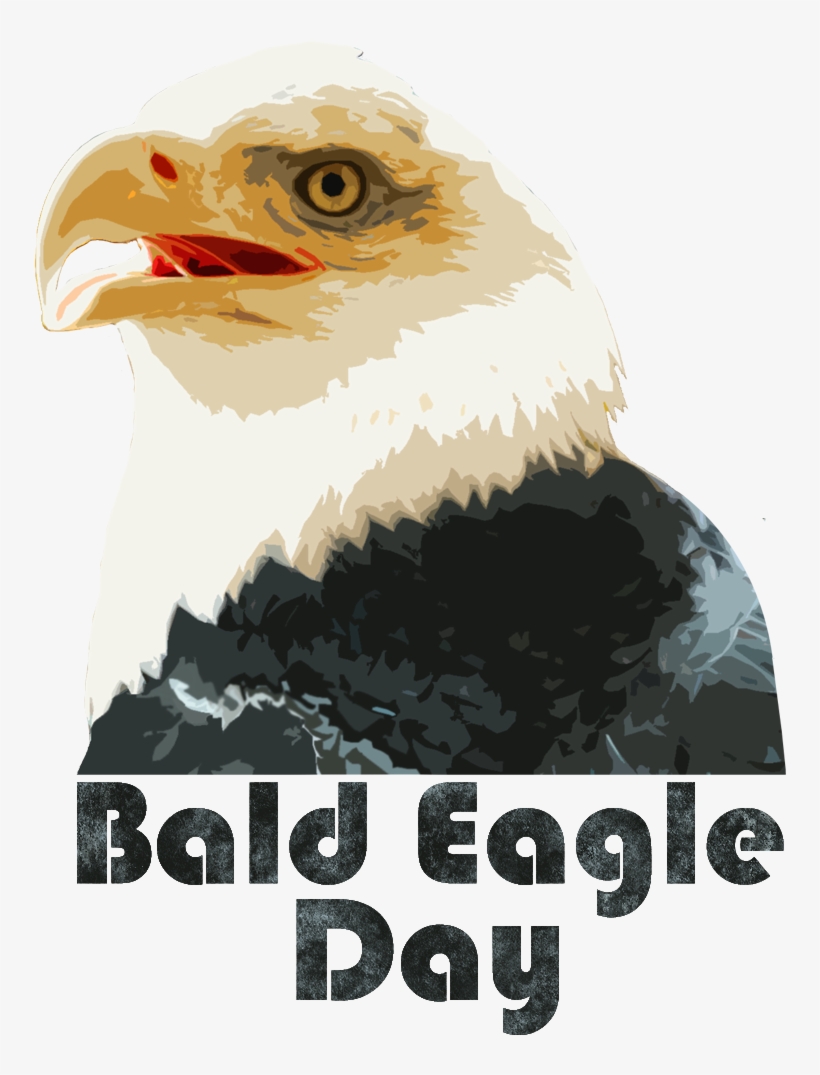 December 10, 2014 - Bald Eagle, transparent png #2180397