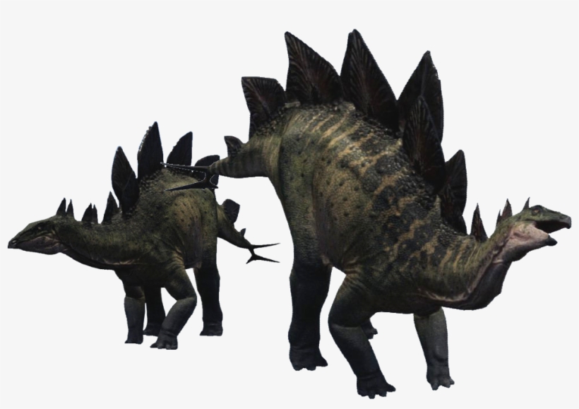 Stegosaurus Gender - Isle Game Stegosaurus, transparent png #2181311