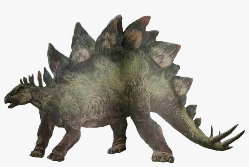 Unused Stegosaurus Render By Kingrexy-dci89e6 - Triceratops, transparent png #2181421