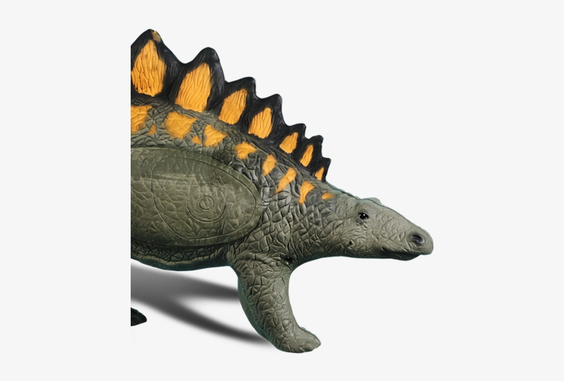 Stegosaurus - Rinehart Target, transparent png #2181686
