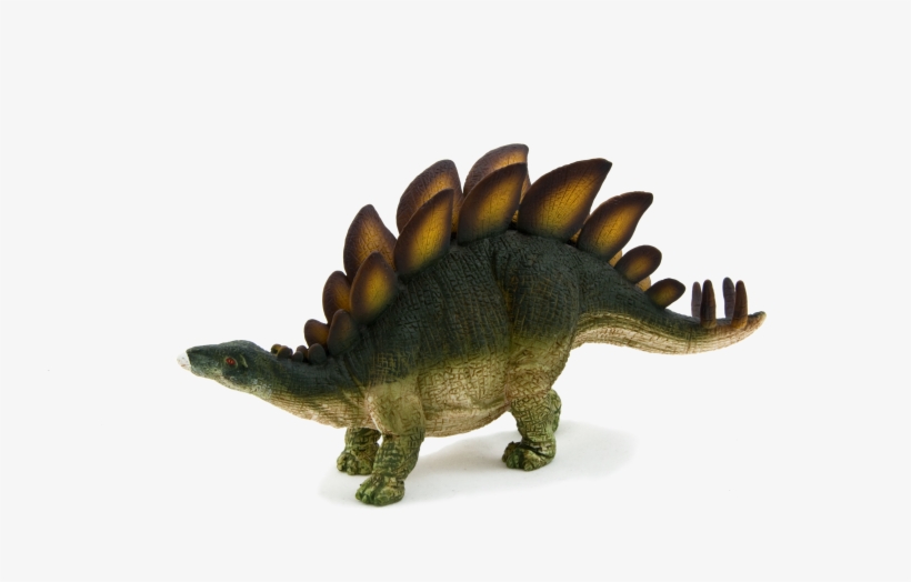 Animal Planet - Stegosaurus, transparent png #2181713