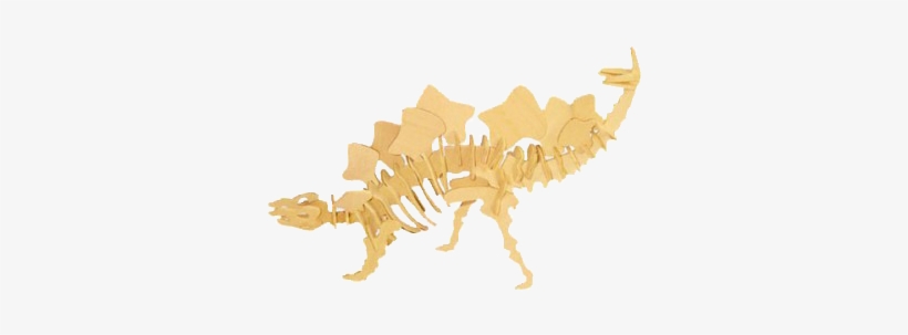 3d Dinosaur Puzzle-stegosaurus - Stegosaurus, transparent png #2181958