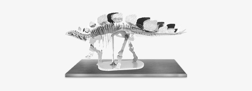 Picture Of Stegosaurus Skeleton - Fascinations Metal Earth 3d Laser Cut Model - Stegosaurus, transparent png #2182055