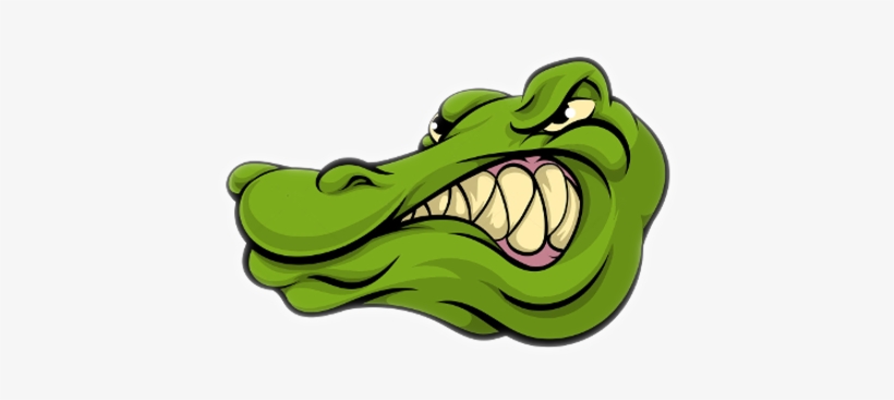 Gator - Crocodile Cartoon Head, transparent png #2182436