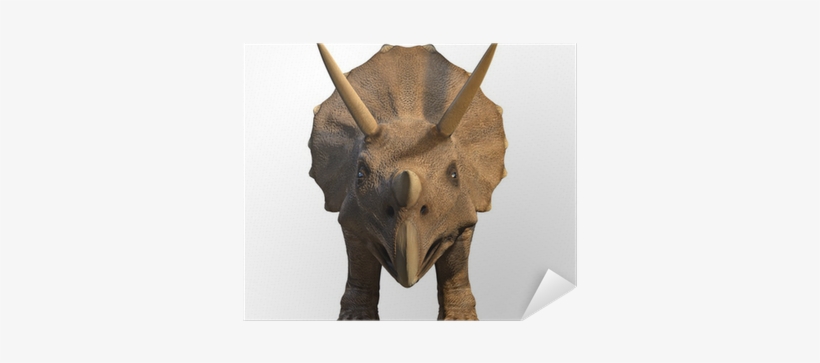 Triceratops Face, transparent png #2182825