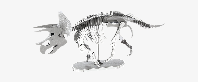 Metal Earth Dinosaur - Metal Earth: Triceratops Skeleton - Model Kit, transparent png #2183148