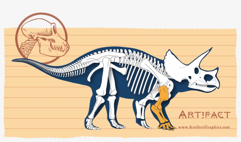Adult Triceratops Bone Map, Highlighting Front Leg, - Dinosaur, transparent png #2183167