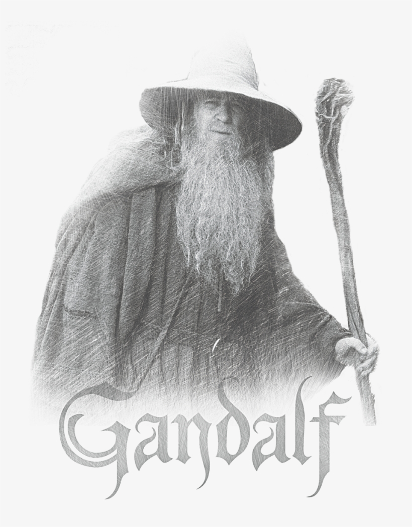Lord Of The Rings Gandalf The Grey Men's Slim Fit T-shirt, transparent png #2183419
