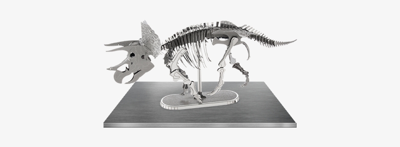 Picture Of Triceratops Skeleton - Metal Earth 3d Model Kits Dinosaur, transparent png #2183444