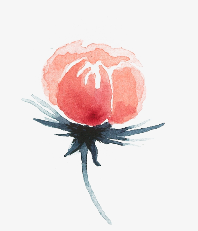 Of A Friends Wedding In The Summer Of - Insect, transparent png #2184499