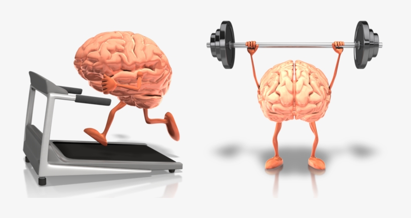 Brain Exercise - Healthy Brain - Free Transparent PNG Download - PNGkey