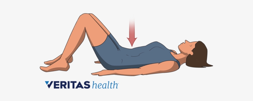 Medical Illustration Of Pelvic Tilt Exercise - Static Lumbar Exercises, transparent png #2185231