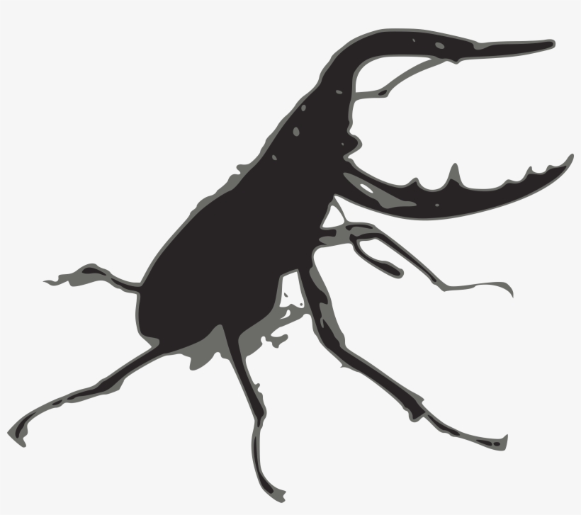 Svg Free Big Image Png - Stag Beetle Png, transparent png #2186971