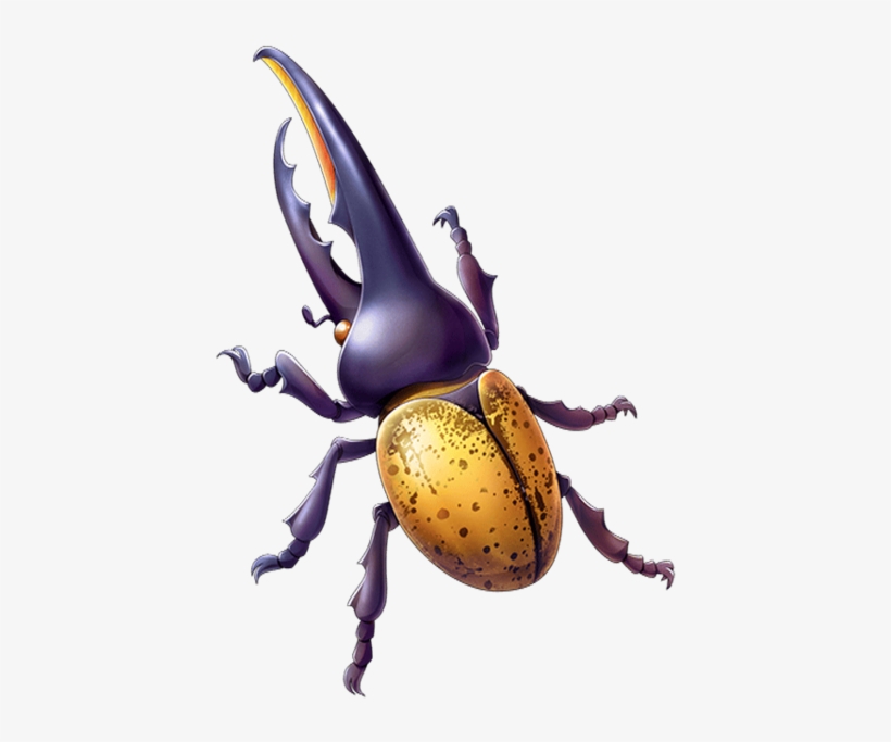 Image Mystic Png Quiz - Beetle Transparent, transparent png #2187057