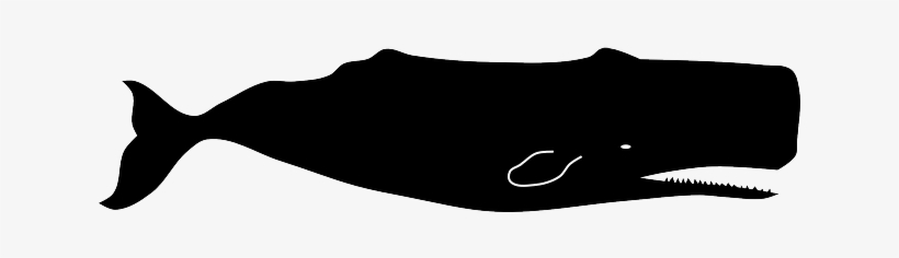 Png Free Stock Humpback Whale Silhouette At Getdrawings - Sperm Whale Vector, transparent png #2187990