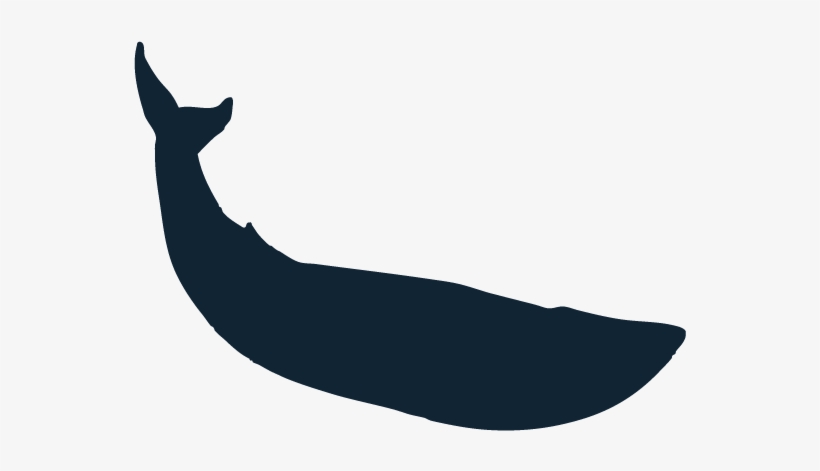 Sponsors - Sperm Whale Silhouette, transparent png #2188093