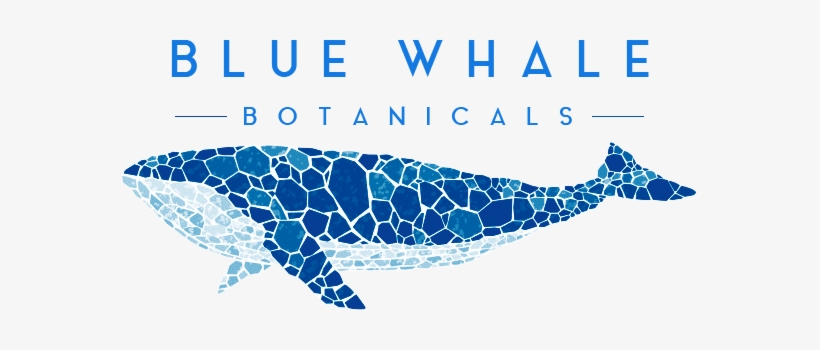 Blue Whale Botanicals - Mosaic Whale, transparent png #2188305