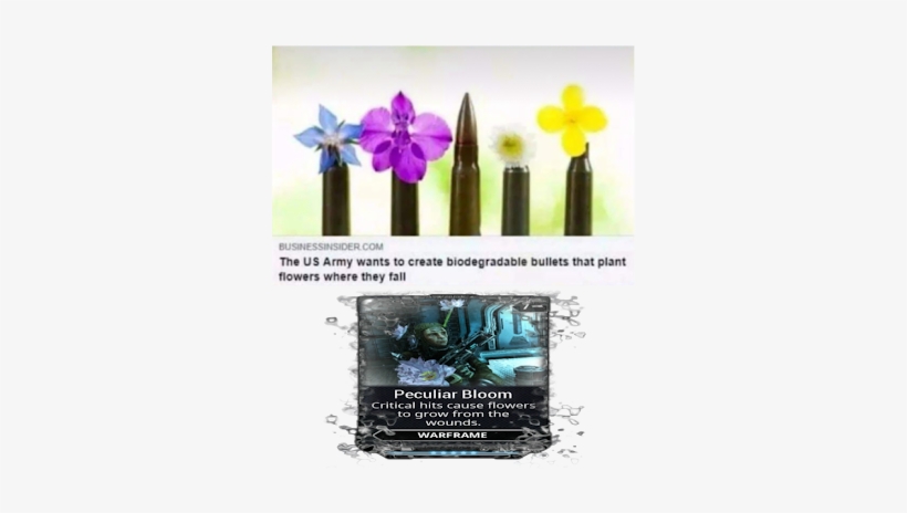 Photo - Biodegradable Bullets Meme, transparent png #2190175