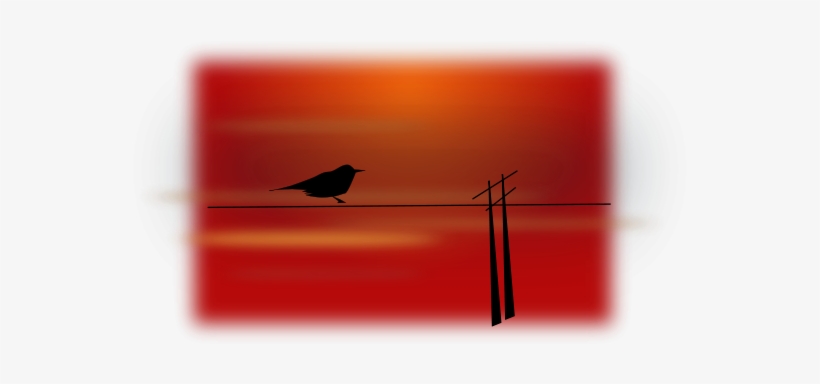 Bird On Wire Png Images, transparent png #2192239
