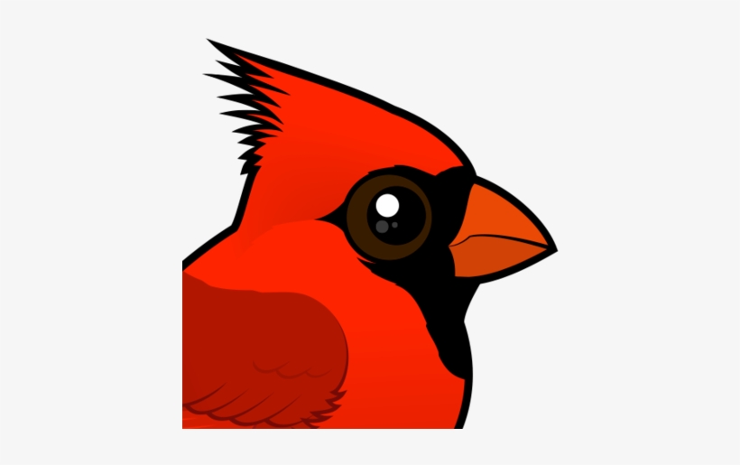 About The Northern Cardinal - Northern Cardinal Clipart, transparent png #2192256