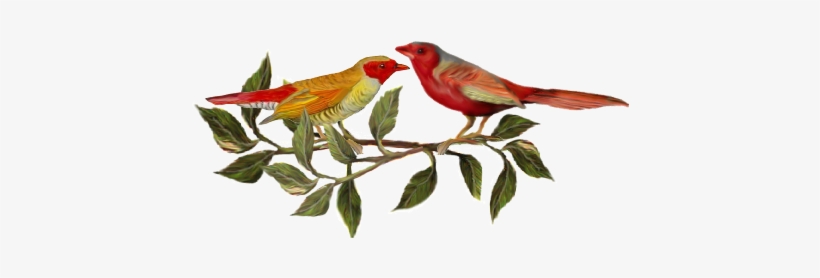 Birds And Butterflies Two Red Birds Artwork - Menu Cover, transparent png #2192318