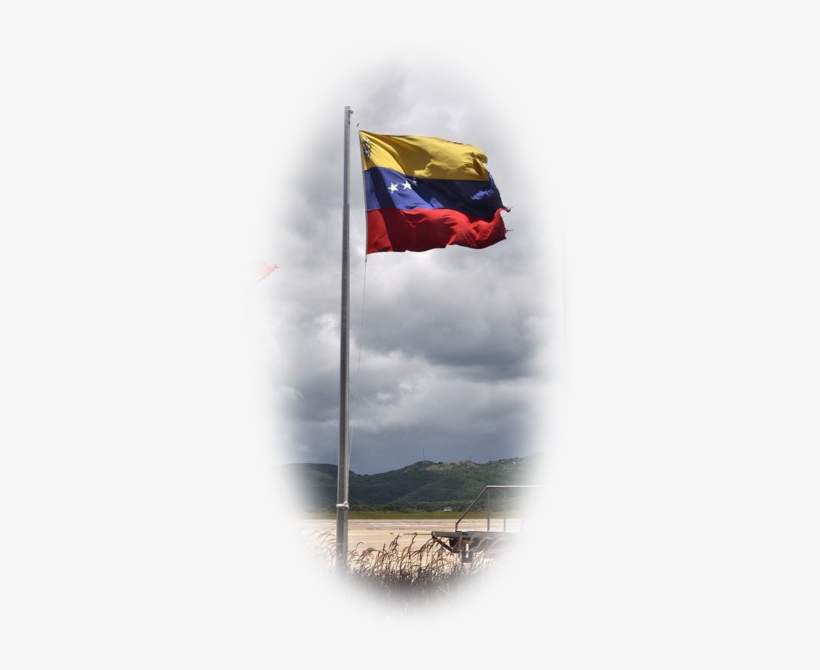 Venezuela, Otra Vez - Flag, transparent png #2192407