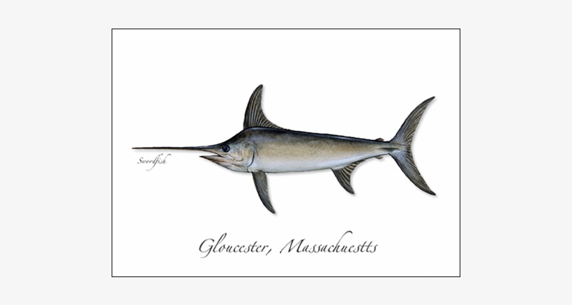Swordfish - Marlin Vs Swordfish, transparent png #2193834