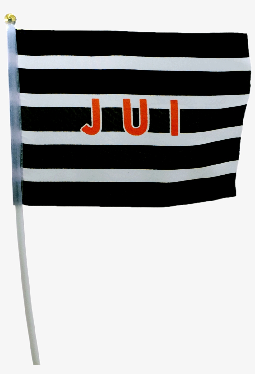 Jui Pipe Flag - Jamiat Ulema Islam Flag Simple, transparent png #2194007