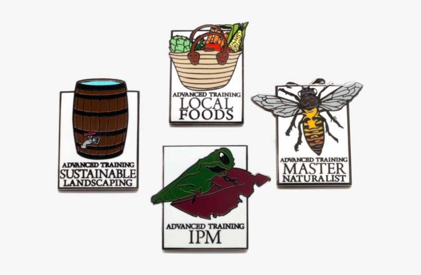 Master Gardener Pins - Illustration, transparent png #2194851