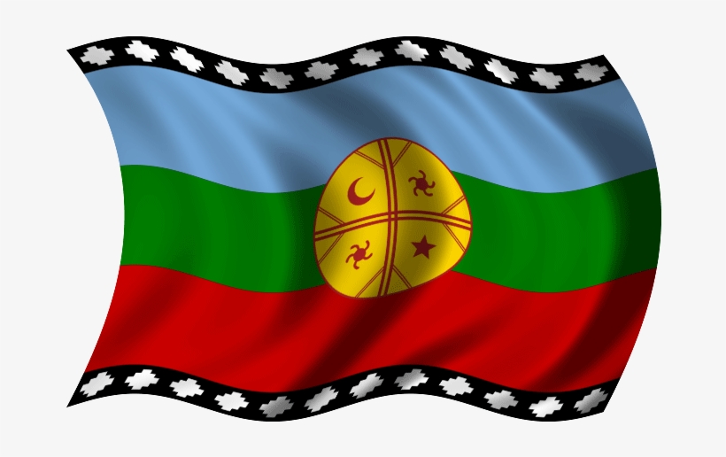 Never Miss A Moment - La Bandera De Los Mapuches, transparent png #2195395