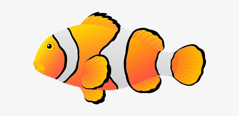 Clownfish Drawing Decorative Fish - Coral Reef Fish, transparent png #2196063
